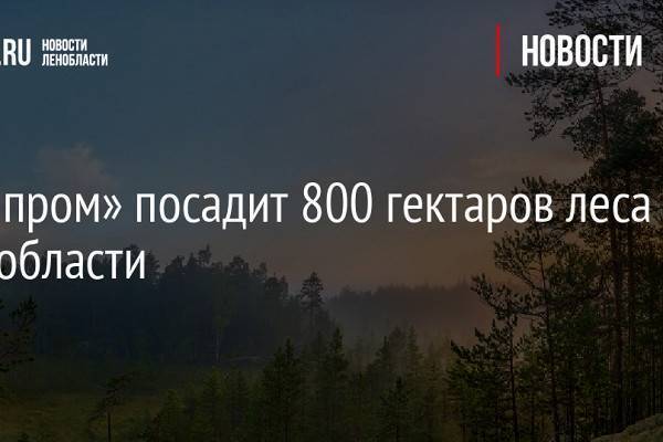 «Газпром» посадит 800 гектаров леса в Ленобласти