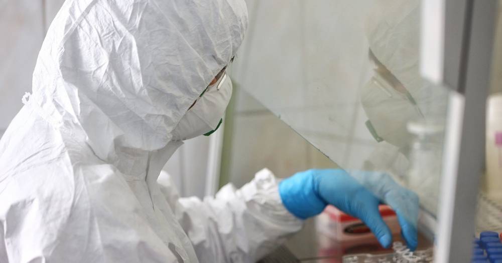 В Польше зарегистрировали новый суточный антирекорд по числу новых случаев коронавируса