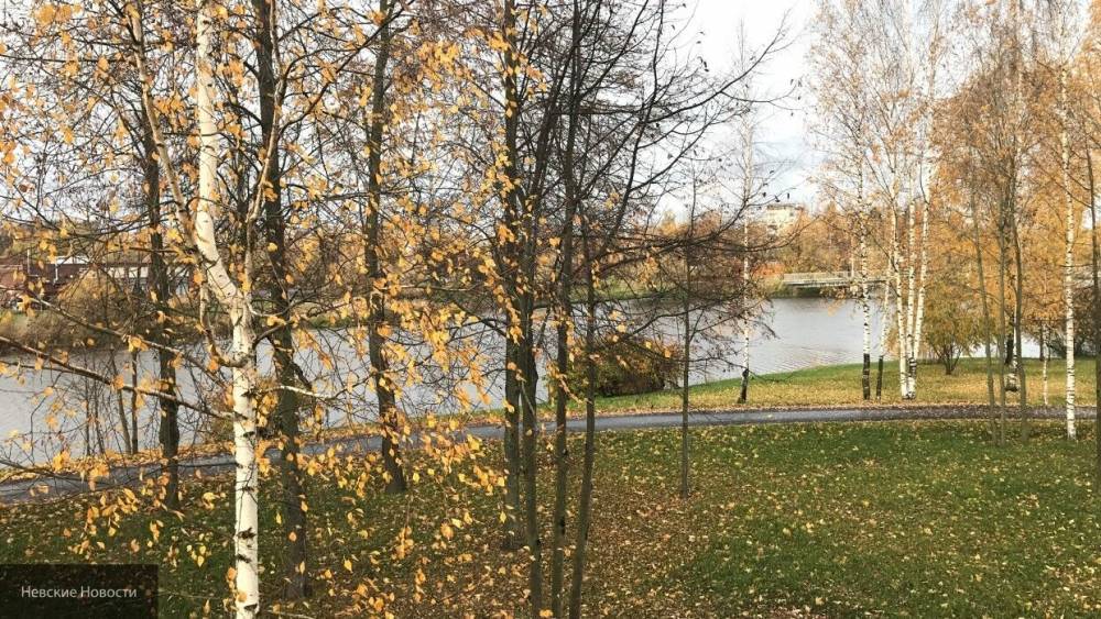 Петербуржцы задумались о целесообразности "народных троп" в парках