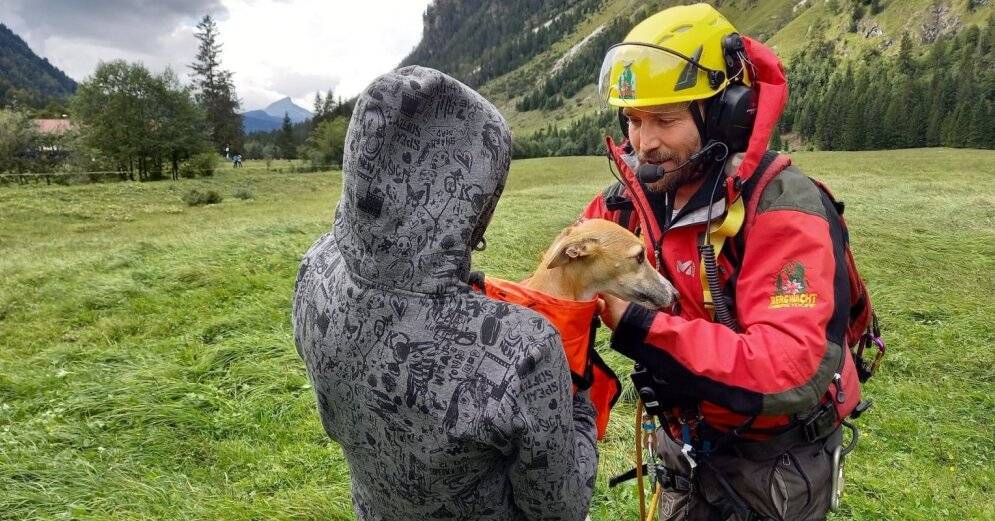 ЧП в Альпах: туристка из Латвии упала с 60-метровой высоты, спасатели помогли найти в горах ее собаку