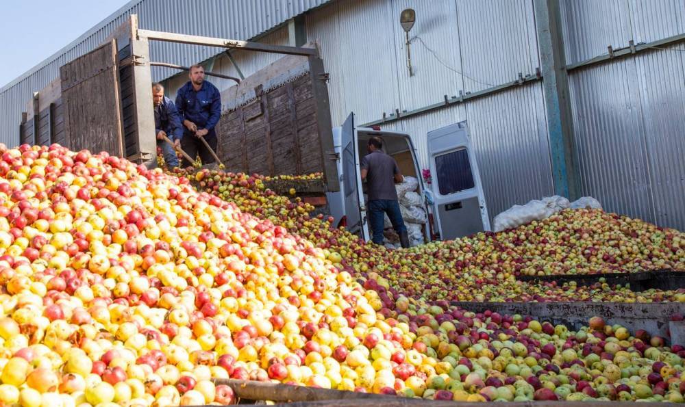 Грузия серьезно нарастила экспорт яблок в новом сезоне