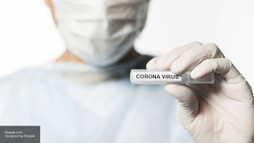 Обнародованы новые данные о тестировании петербуржцев на коронавирус