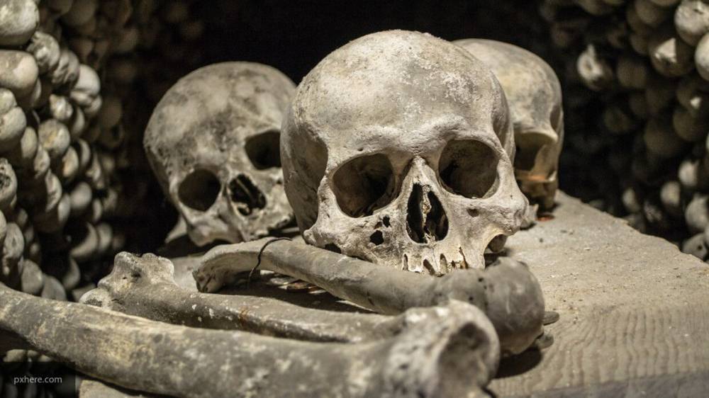 Археологи нашли в Испании черепа жертв приношений эпохи неолита