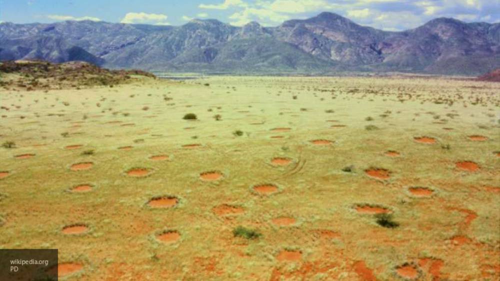Ученые раскрыли механизм появления "кругов фей" в Намибии