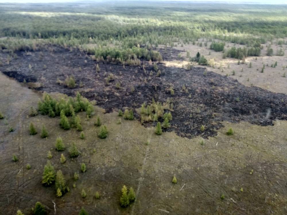 25 сентября на Сахалине горел лес