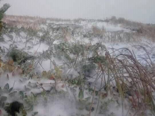 В Карпатах на горе Поп Иван 27 сентября выпал снег