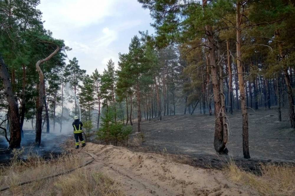 В Луганской области вспыхнул лесной пожар