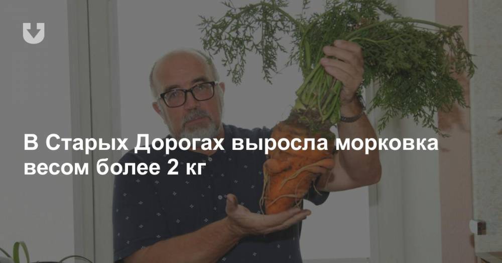 В Старых Дорогах выросла морковка весом более 2 кг