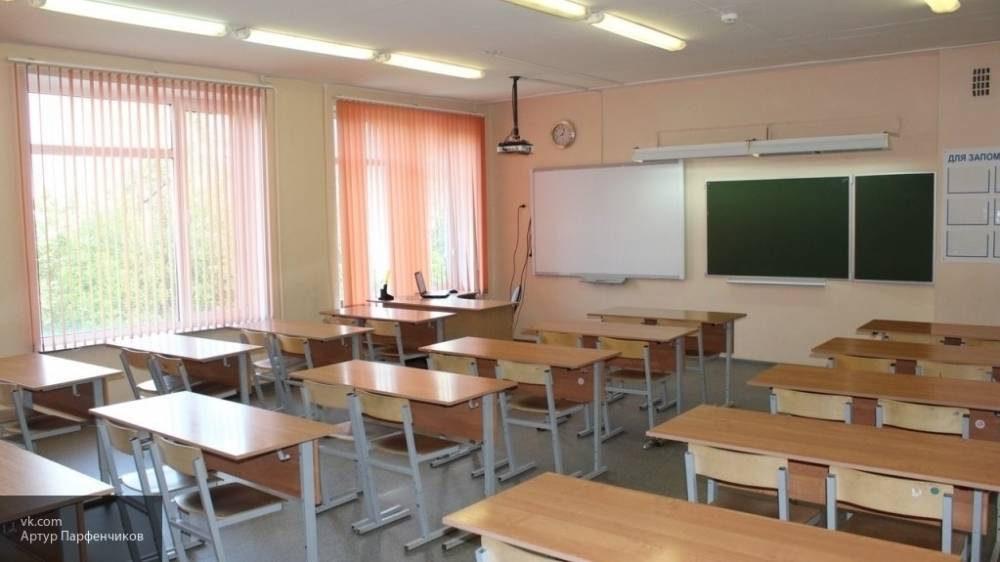 Российские школы не планируют массово переводить на дистанционный формат