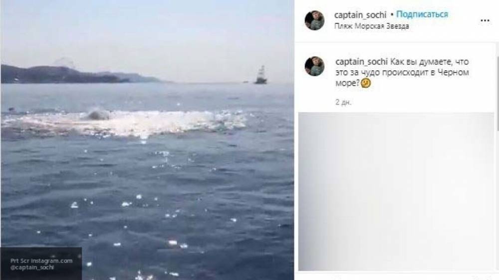 Туристы сняли на видео странное морское явление у берегов Сочи