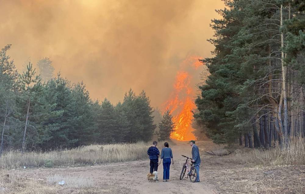 Причиной ландшафтных и лесных пожаров в Воронежской области могли стать поджоги