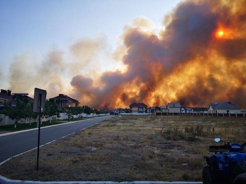 Сто гектаров огненного ада: леса полыхали вместе с домами в Воронежской области