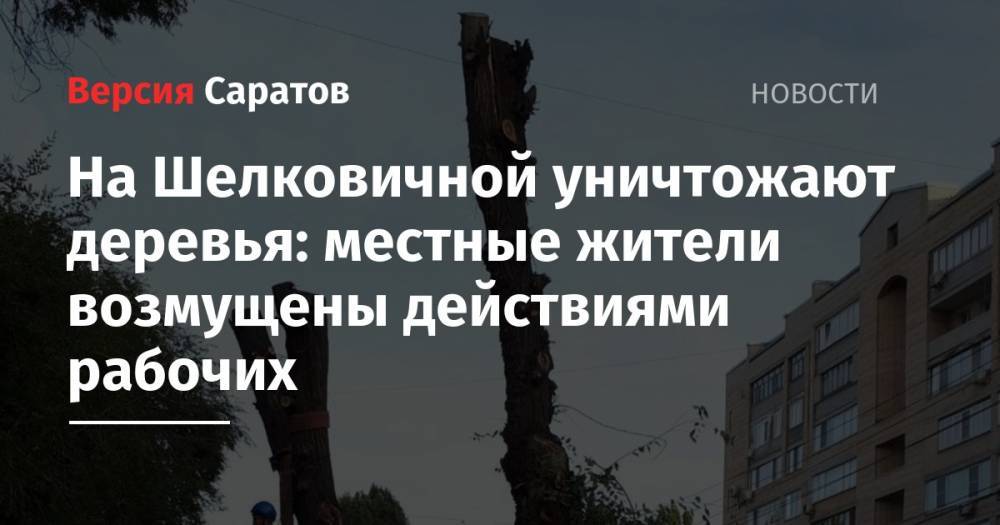 На Шелковичной уничтожают деревья: местные жители возмущены действиями рабочих