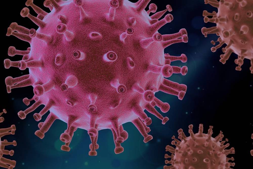 В России не выявили значимых мутаций коронавируса