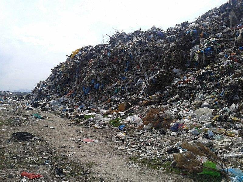 Счётная палата считает неблагополучной ситуацию с мусором в России