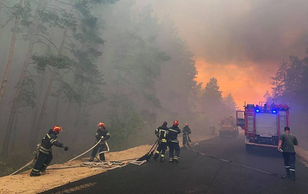 В Луганской области спустя сутки загасили лесной пожар
