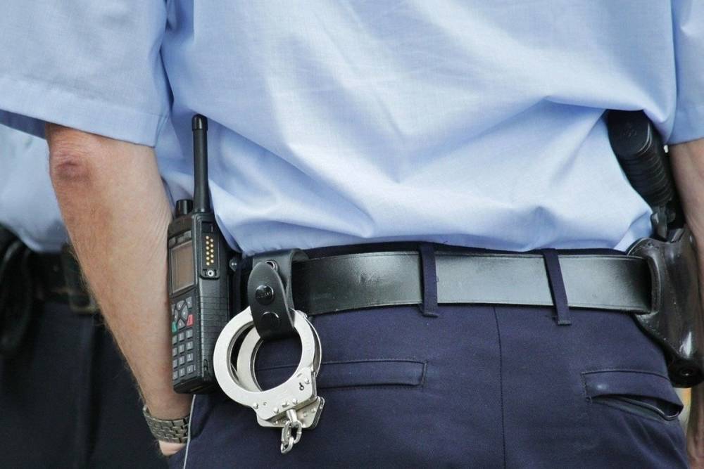 Несколько краж раскрыли полицейские в Псковской области