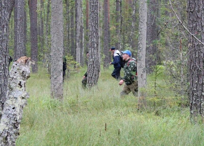 В Смоленской области нашли двух грибников, заплутавших в лесах