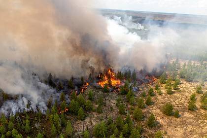 В лесных пожарах в Ростовской области пострадали 46 человек