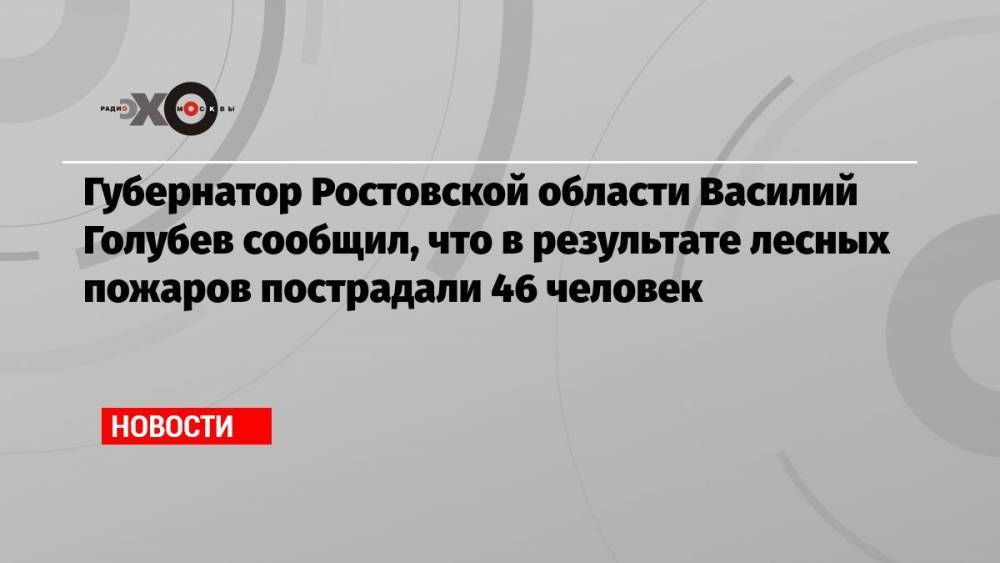 Губернатор Ростовской области Василий Голубев сообщил, что в результате лесных пожаров пострадали 46 человек