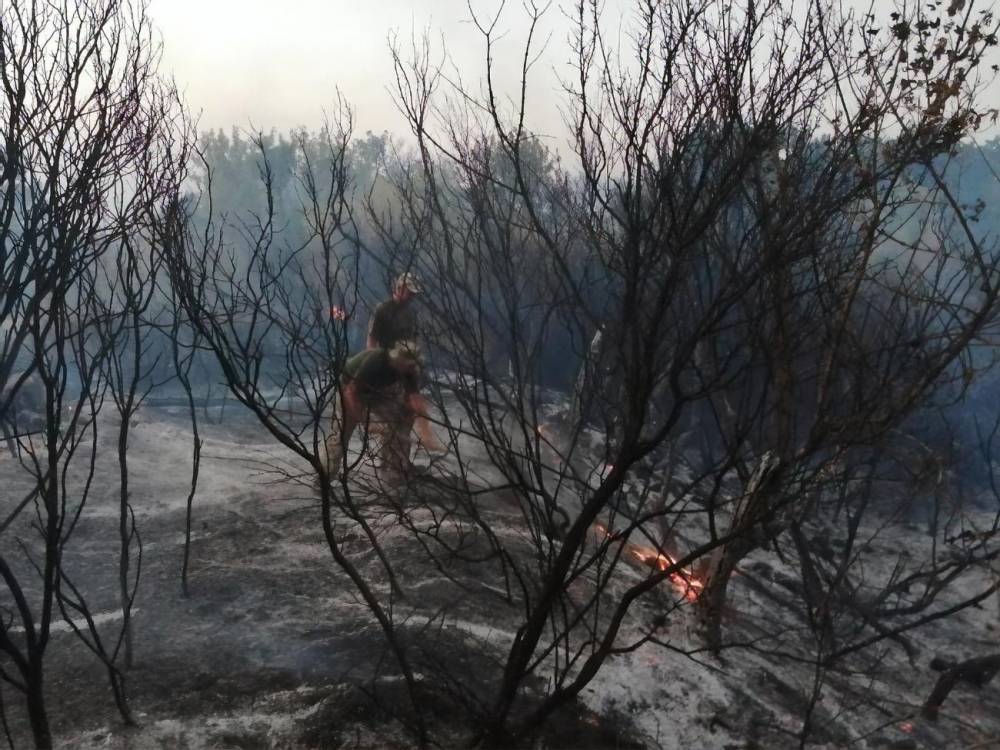 В штабе ООС считают, что к пожарам на Донбассе причастны боевики