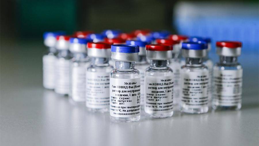 Москва и Минск рассчитывают договориться об использовании вакцины от COVID-19