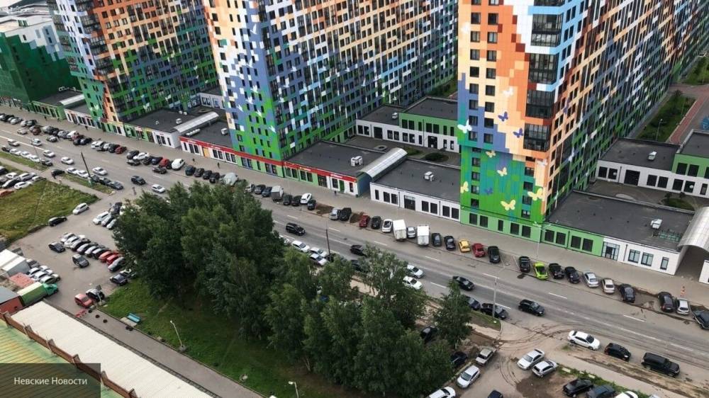 Власти Петербурга обсудят вопрос введения штрафов за хаотичную парковку