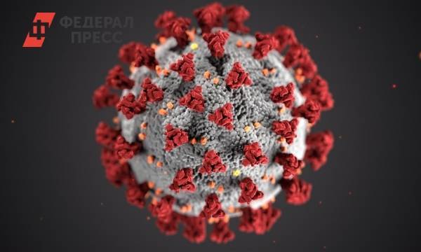 Биолог рассказала о влиянии гриппа на коронавирус