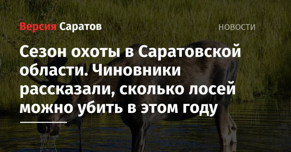 Сезон охоты в Саратовской области. Чиновники рассказали, сколько лосей можно убить в этом году