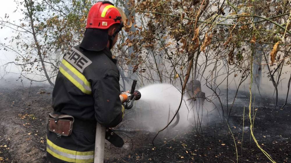 Пылевая буря, масштабные пожары и перебои со светом: события Лисичанска и региона 30 сентября