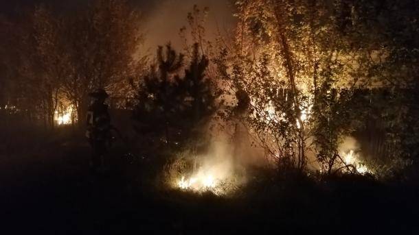 Пожар на Луганщине: эвакуируют уже 4 села