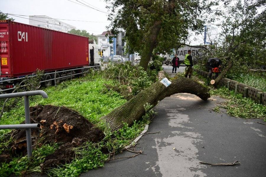 Более 50 человек получили травмы из-за урагана "Майсак" в Приморье