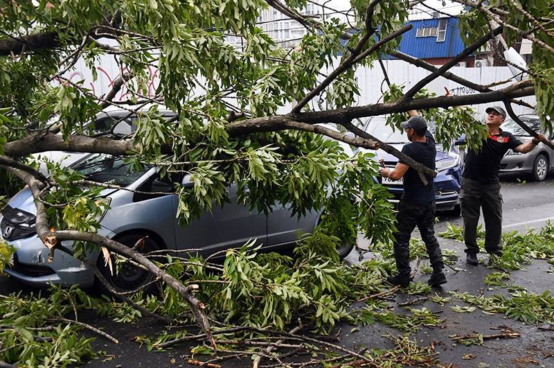 Более 50 человек пострадали от тайфуна "Майсак" в Приморье