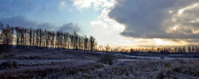 На выходных в Новосибирске ожидаются первые заморозки