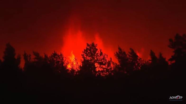 Пожар в Тарасовском районе: огонь прошел уже 1250 гектаров