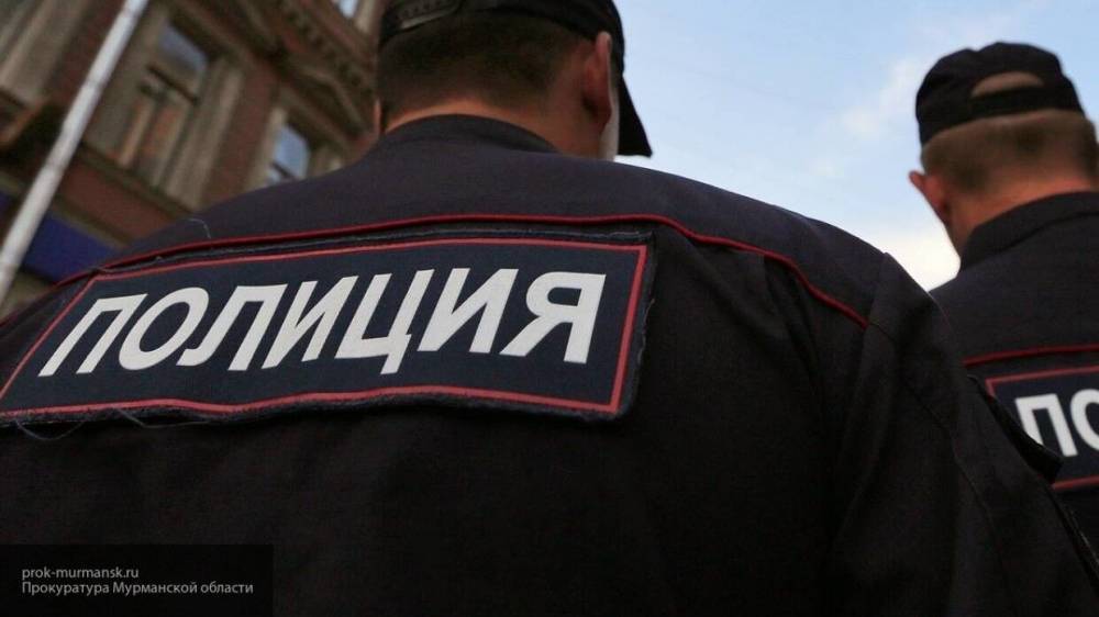 Петербургские полицейские задержали расчленителя родителей из Самары
