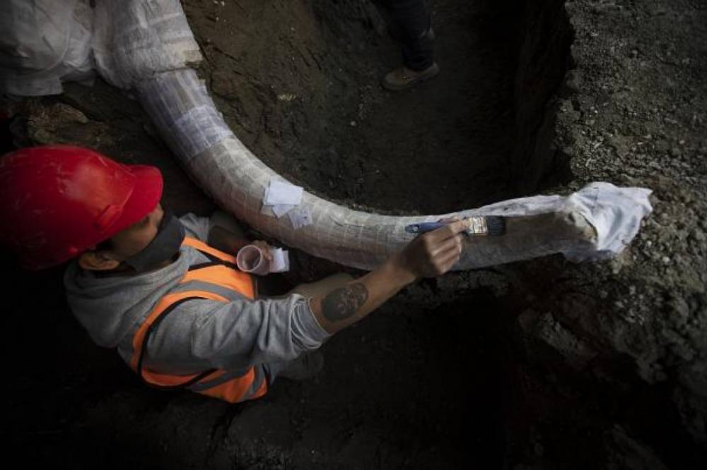 Видео дня: В Мексике стройплощадка превратилась в огромные раскопки с останками мамонтов