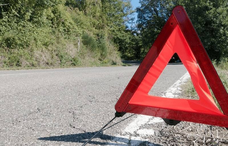 В Псковской области автомобиль налетел на лося: четыре человека погибли