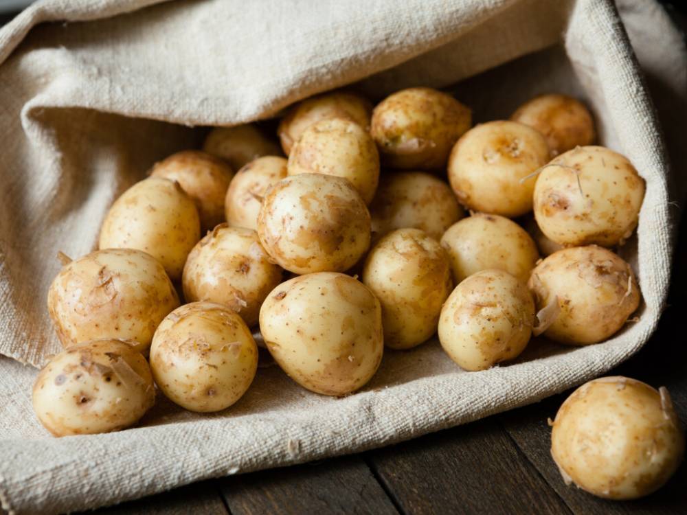 Картошку смертельно опасно хранить в подвале – эксперты