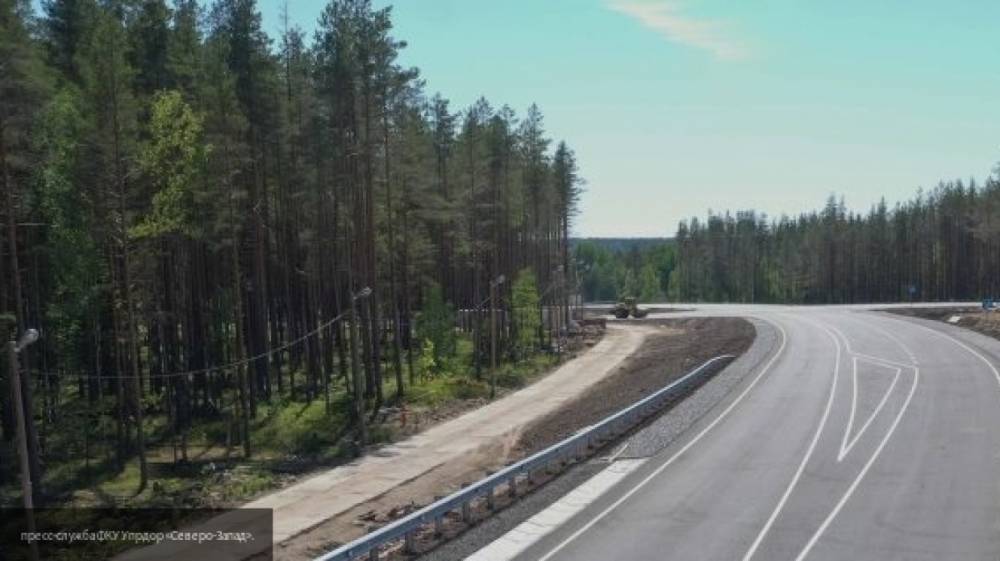 Пропавший в Тульской области подросток погиб под колесами автомобиля