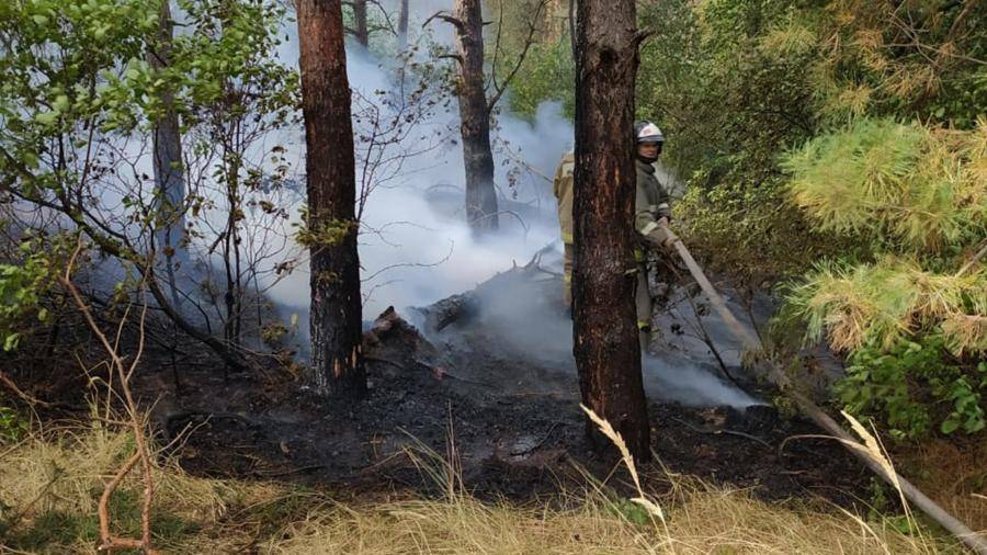 Ликвидирован крупный лесной пожар в Ростовской области