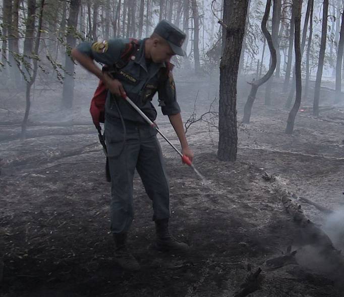 МЧС: в Тарасовском районе полностью потушили природный пожар