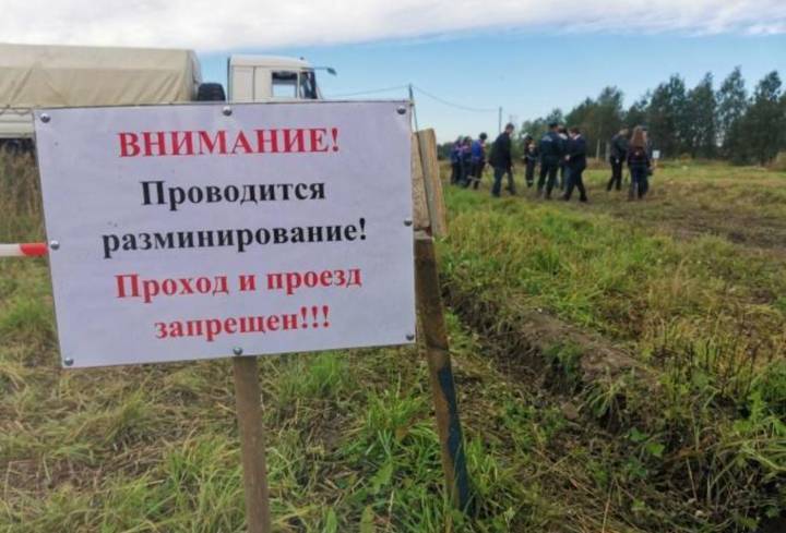 В посёлке Молодцово сотрудники МЧС России проводят разминирование на участках для многодетных семей