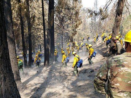 В США лесные пожары достигли рекордных масштабов (ВИДЕО)