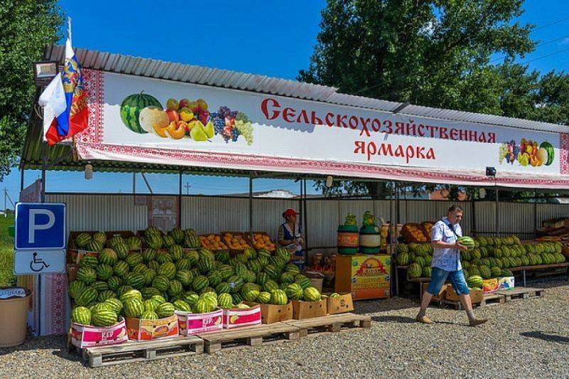 Объекты придорожного сервиса в Краснодарском крае будут строиться по единой схеме