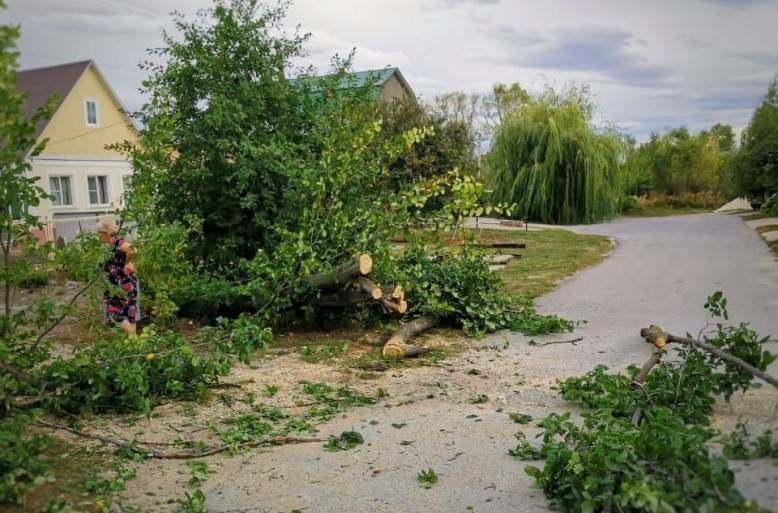 Городские службы ликвидируют последствия урагана в Липецке
