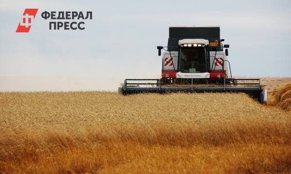 В Красноярском крае собрано больше 1 млн тонн урожая