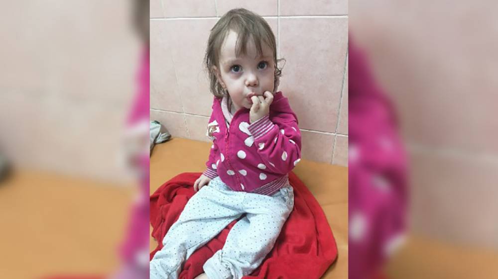 Удочерить брошенную 1,5-годовалую девочку из Воронежа захотели 70 семей