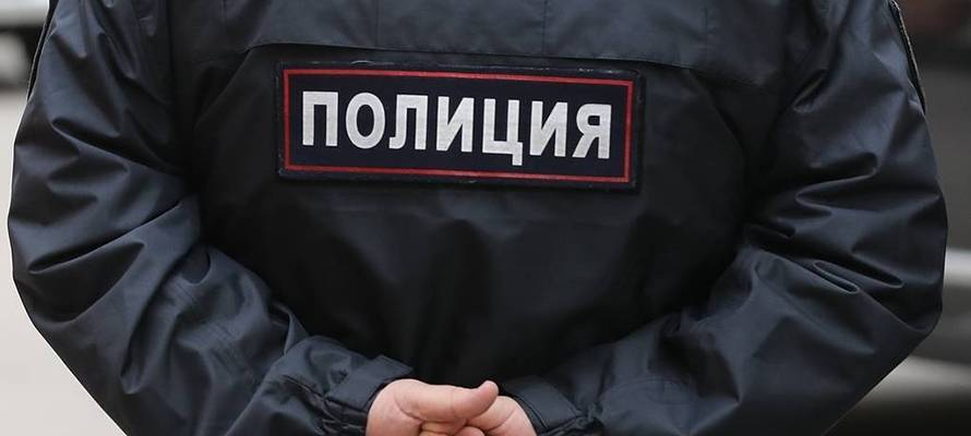 Житель Петрозаводска ответит в суде за насилие в отношении полицейского