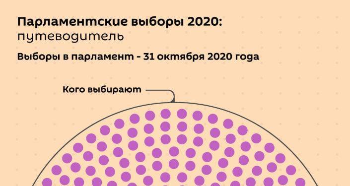Парламентские выборы 2020 в Грузии: путеводитель